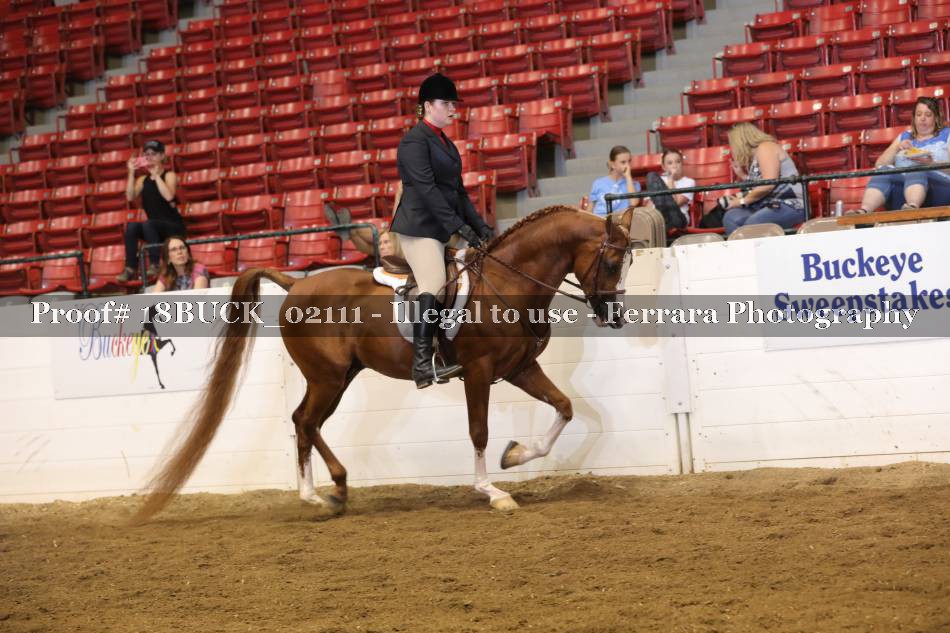 Proof 18BUCK_02111