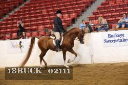 18BUCK_02111 proof