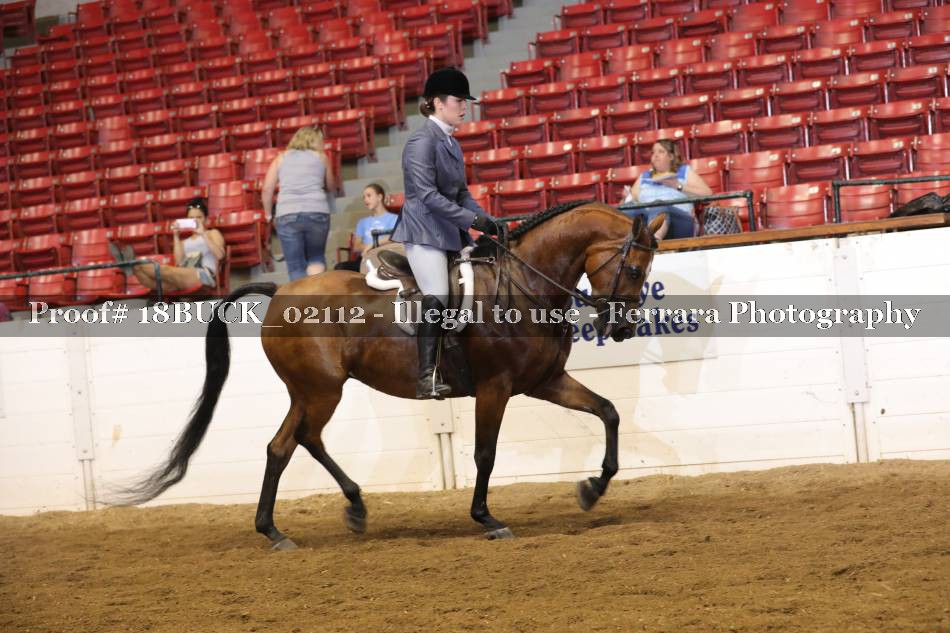 Proof 18BUCK_02112