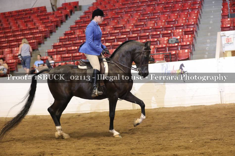 Proof 18BUCK_02113