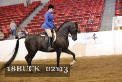 18BUCK_02113 proof