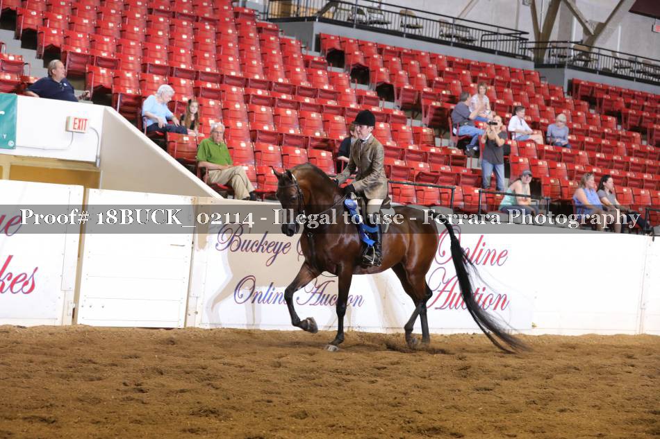 Proof 18BUCK_02114