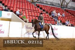 18BUCK_02114 proof