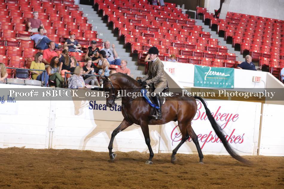 Proof 18BUCK_02115