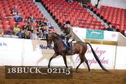 18BUCK_02115 proof