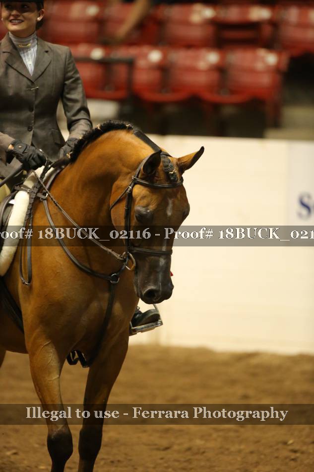 Proof 18BUCK_02116