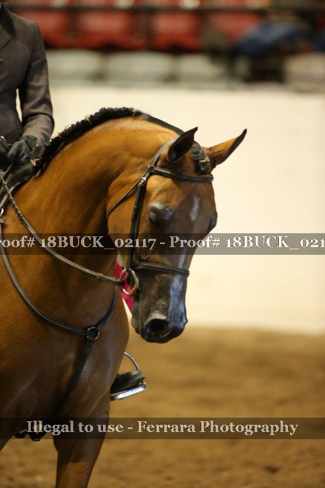 Proof 18BUCK_02117