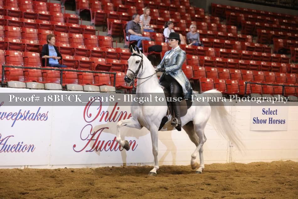 Proof 18BUCK_02118
