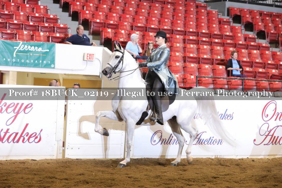 Proof 18BUCK_02119