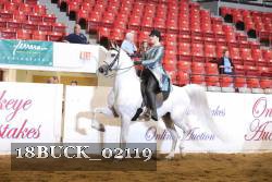 18BUCK_02119 proof