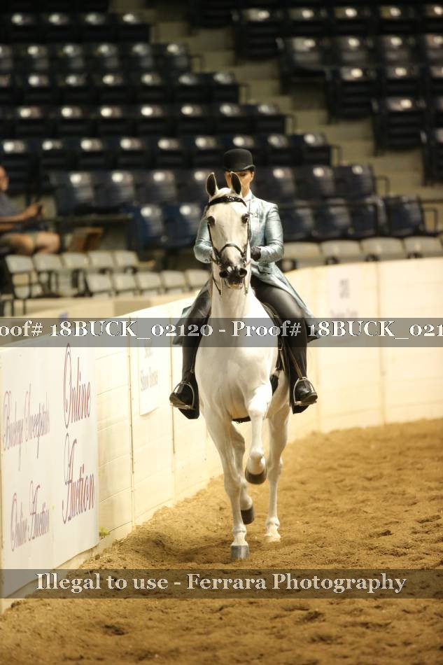 Proof 18BUCK_02120