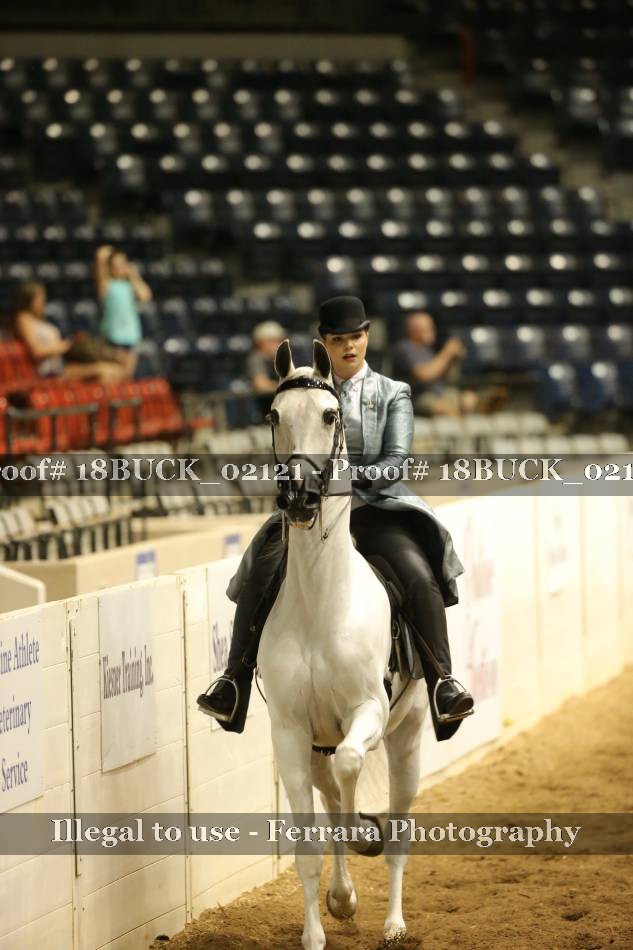 Proof 18BUCK_02121