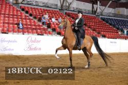 18BUCK_02122 proof