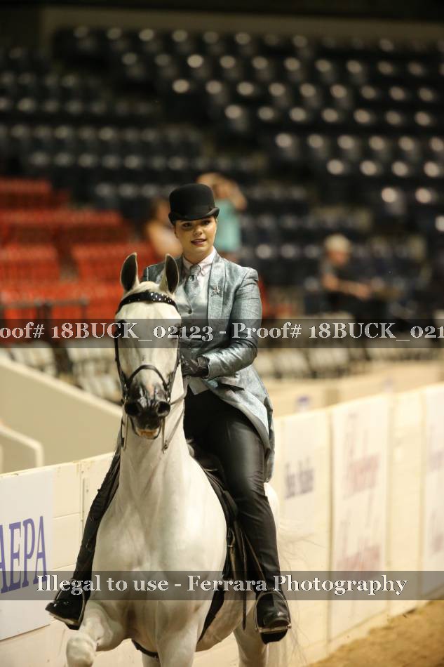 Proof 18BUCK_02123