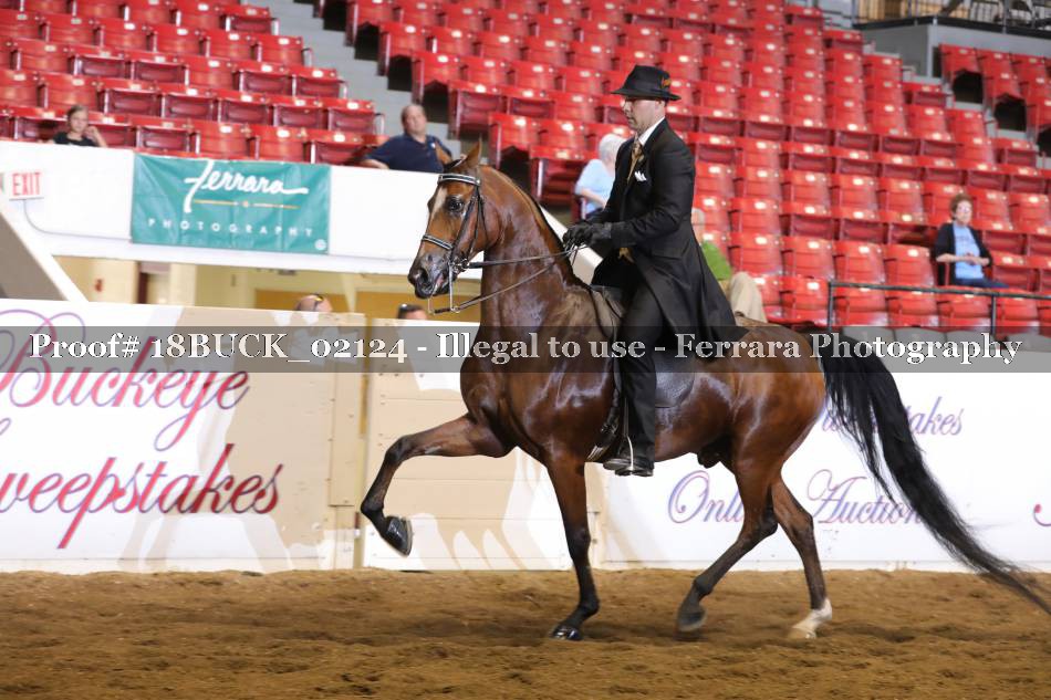 Proof 18BUCK_02124