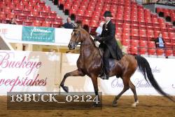 18BUCK_02124 proof