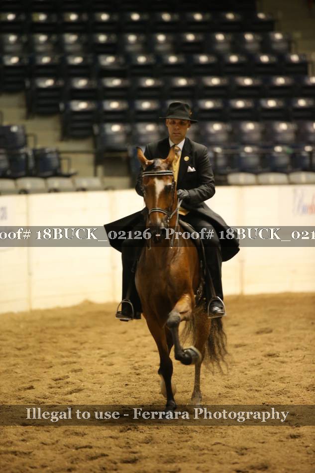 Proof 18BUCK_02126