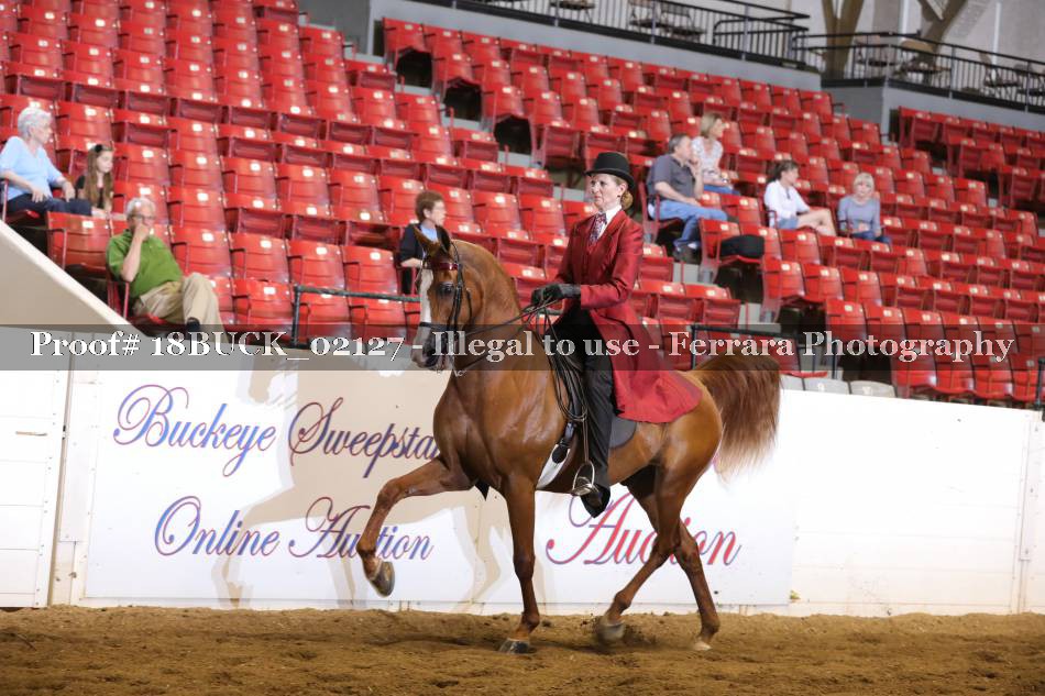 Proof 18BUCK_02127