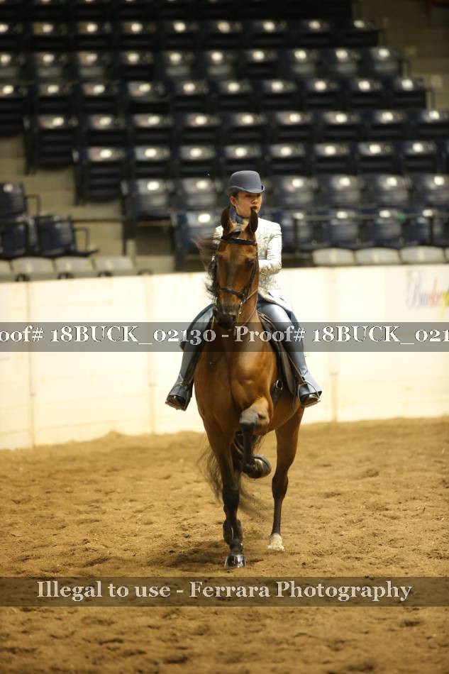 Proof 18BUCK_02130