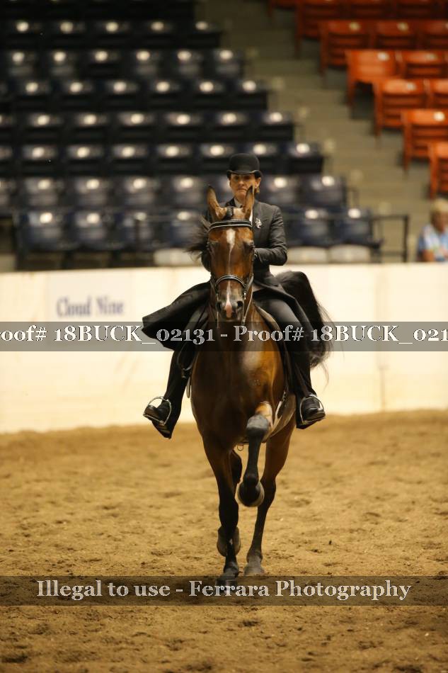 Proof 18BUCK_02131
