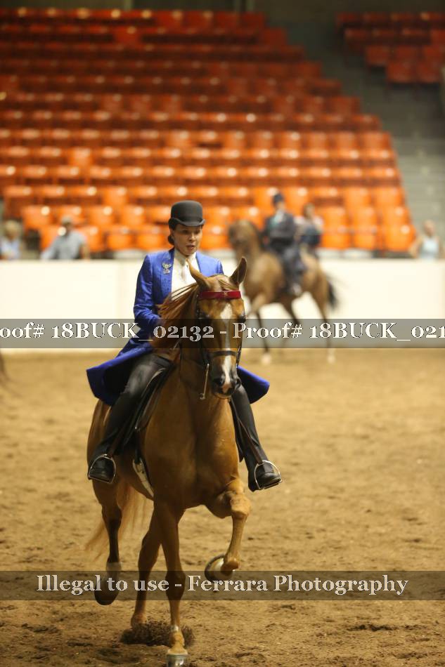 Proof 18BUCK_02132