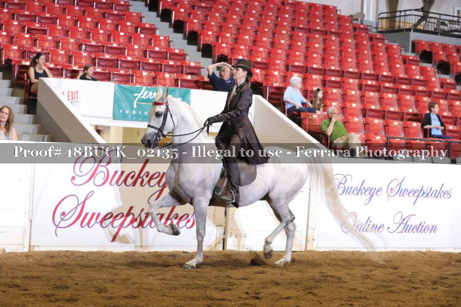 Proof 18BUCK_02135