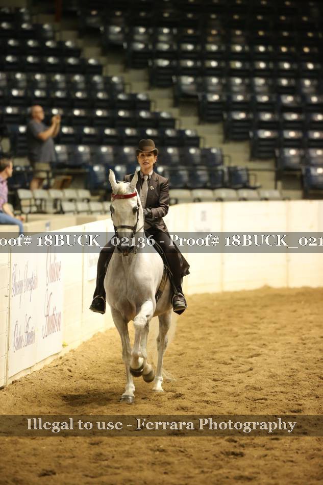Proof 18BUCK_02136