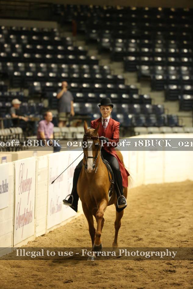 Proof 18BUCK_02137