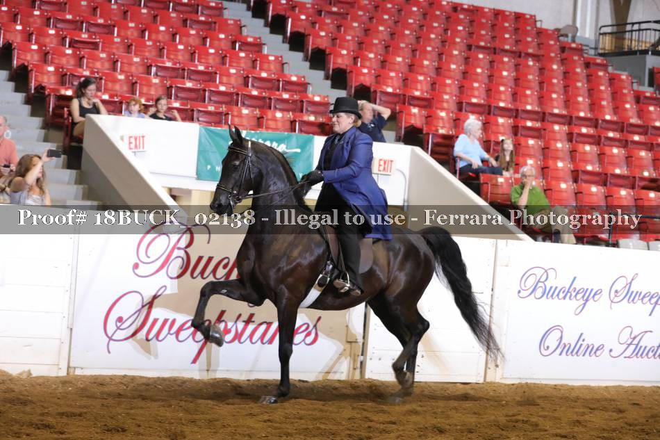 Proof 18BUCK_02138