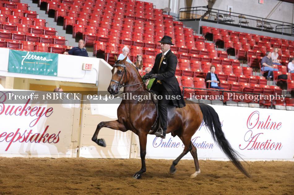 Proof 18BUCK_02140
