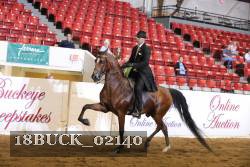 18BUCK_02140 proof
