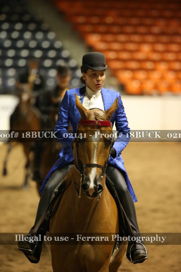 Proof 18BUCK_02141