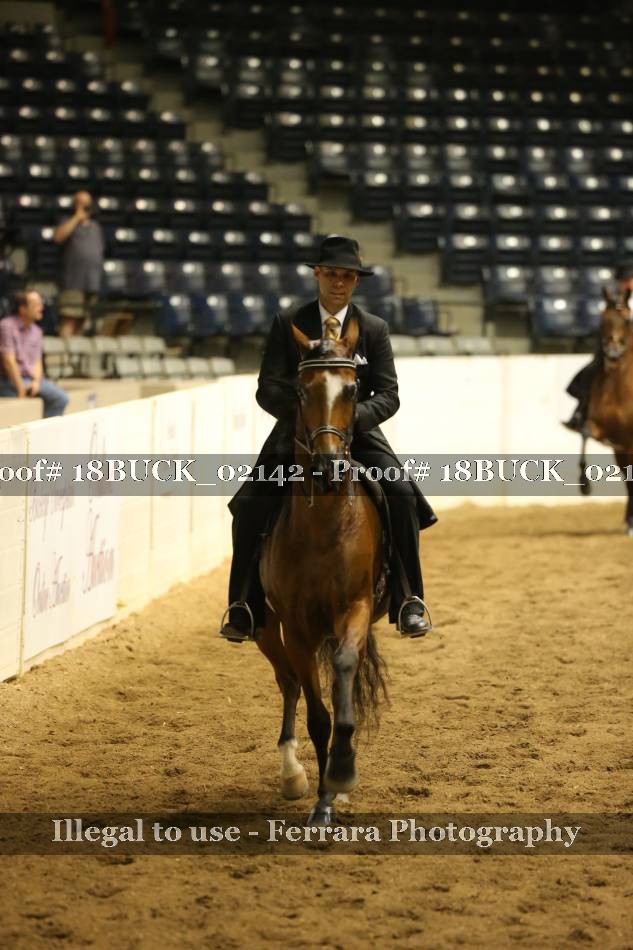 Proof 18BUCK_02142