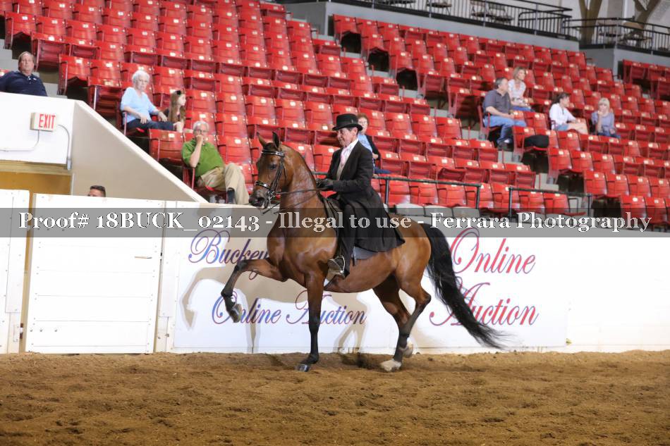 Proof 18BUCK_02143