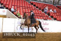 18BUCK_02143 proof