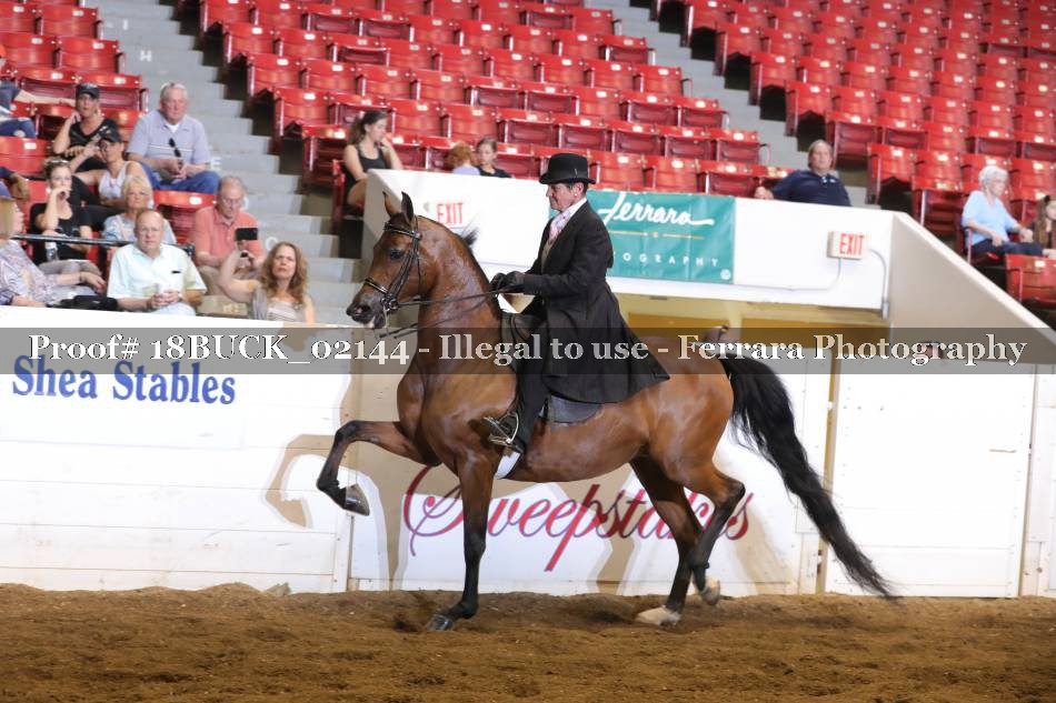 Proof 18BUCK_02144