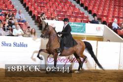 18BUCK_02144 proof