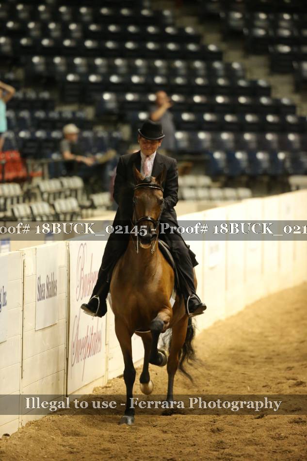 Proof 18BUCK_02145