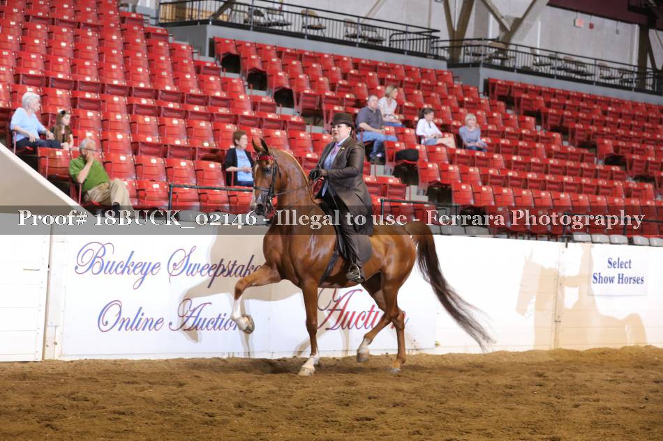 Proof 18BUCK_02146