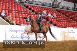 18BUCK_02146 proof