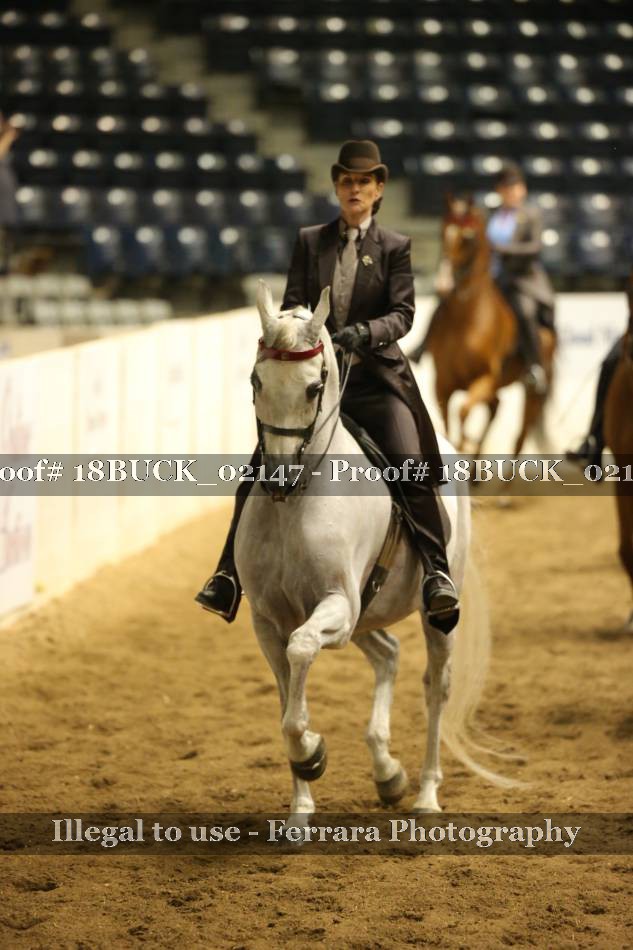 Proof 18BUCK_02147