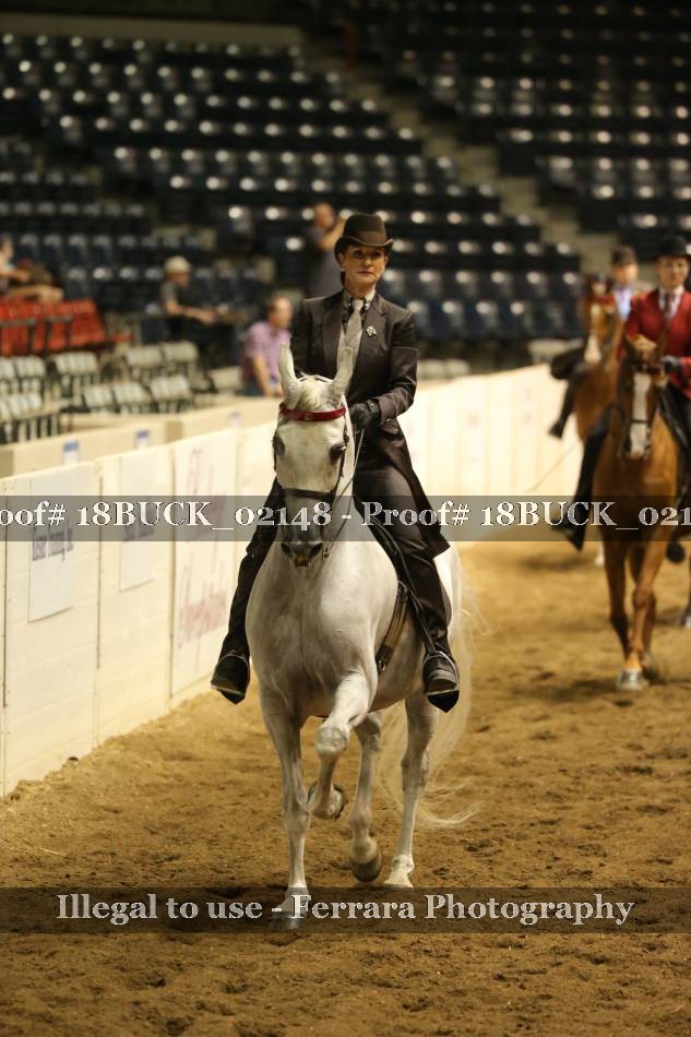 Proof 18BUCK_02148