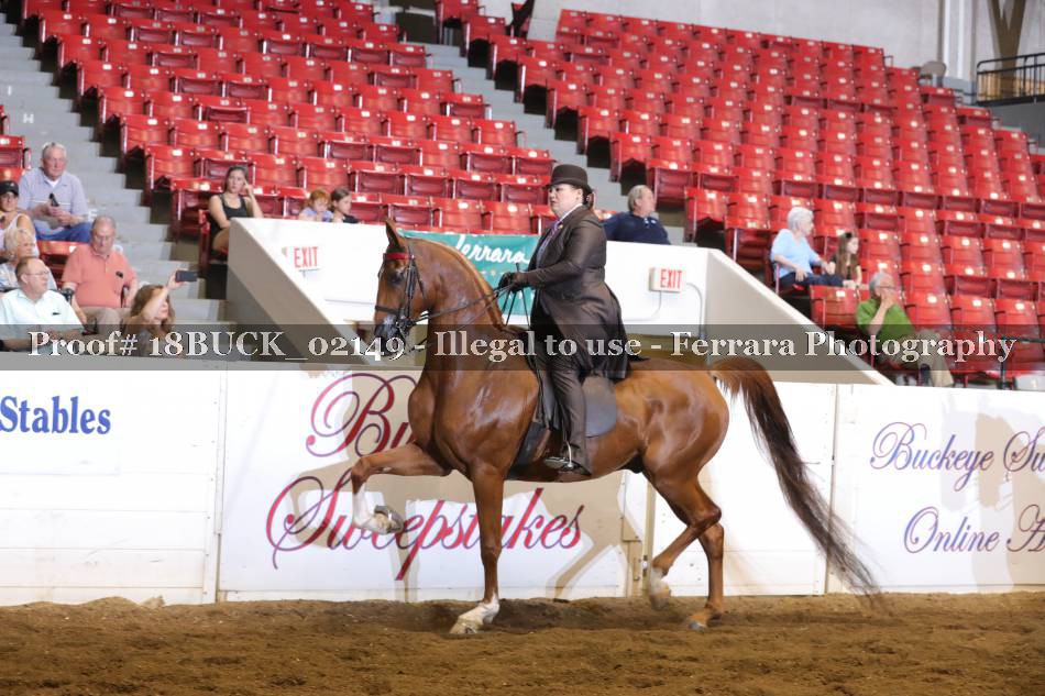 Proof 18BUCK_02149