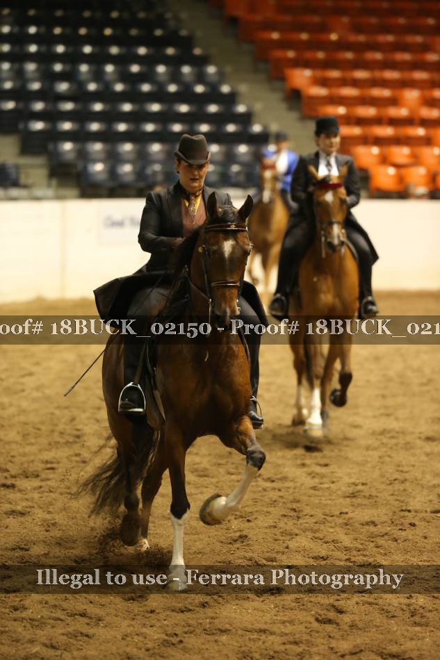 Proof 18BUCK_02150