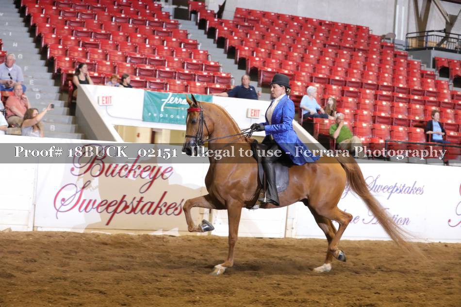 Proof 18BUCK_02151