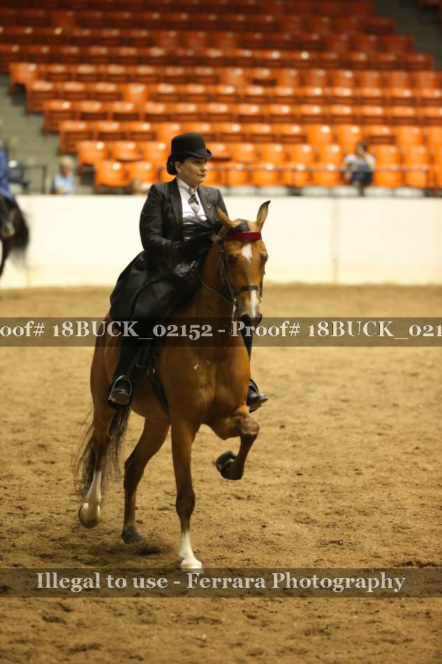 Proof 18BUCK_02152