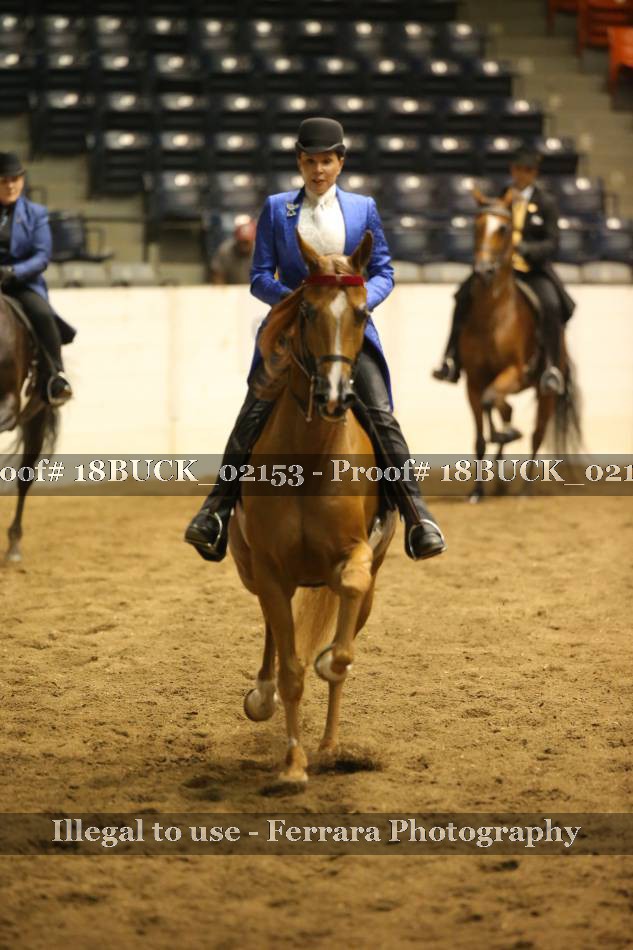 Proof 18BUCK_02153