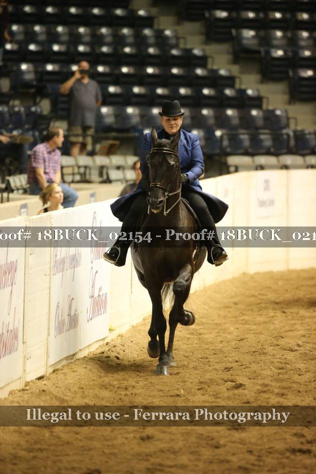 Proof 18BUCK_02154