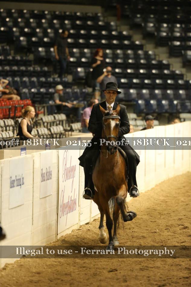 Proof 18BUCK_02155