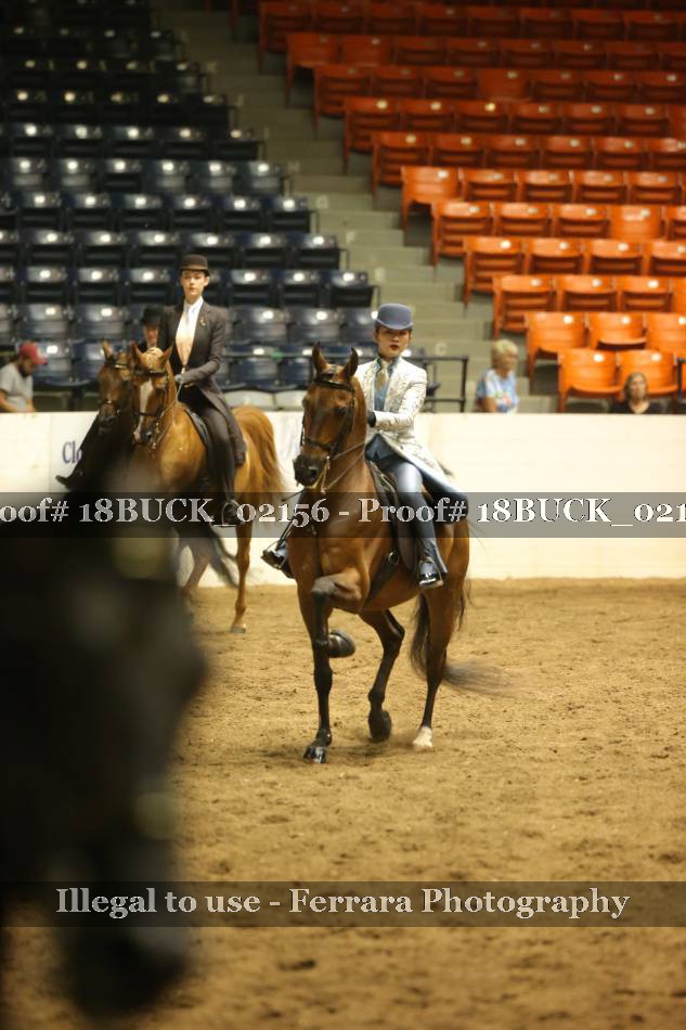 Proof 18BUCK_02156